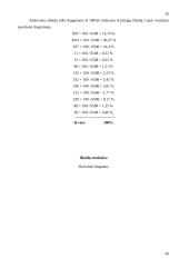 Verslo planas: grožio salonas "Eliza" 20 puslapis