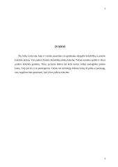 Verslo planas: grožio salonas "Eliza" 3 puslapis