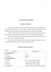 Verslo planas: grožio salonas "Eliza" 5 puslapis