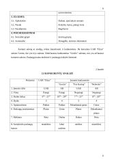 Verslo planas: grožio salonas "Eliza" 6 puslapis