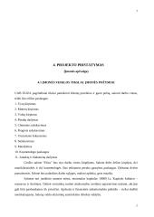 Verslo planas: grožio salonas "Eliza" 7 puslapis