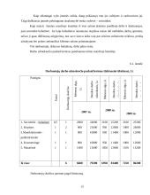 Verslo planas: grožio salonas "Gabrielė" 13 puslapis