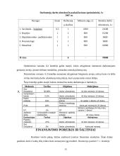 Verslo planas: grožio salonas "Gabrielė" 15 puslapis