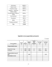 Verslo planas: grožio salonas "Gabrielė" 17 puslapis