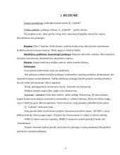 Verslo planas: grožio salonas "Gabrielė" 3 puslapis