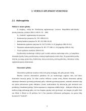 Verslo planas: grožio salonas "Gabrielė" 4 puslapis