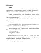 Verslo planas: grožio salonas "Gabrielė" 6 puslapis