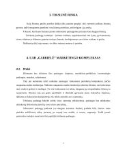 Verslo planas: grožio salonas "Gabrielė" 7 puslapis