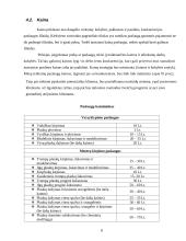 Verslo planas: grožio salonas "Gabrielė" 8 puslapis