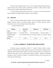 Verslo planas: grožio salonas "Gabrielė" 10 puslapis