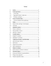 Verslo planas: grožio salonas IĮ "Prestižas" 2 puslapis