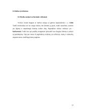 Verslo planas: grožio salonas IĮ "Prestižas" 13 puslapis