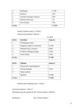 Verslo planas: grožio salonas IĮ "Prestižas" 15 puslapis