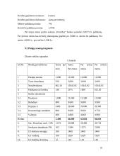 Verslo planas: grožio salonas IĮ "Prestižas" 16 puslapis