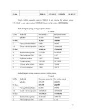 Verslo planas: grožio salonas IĮ "Prestižas" 17 puslapis