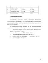 Verslo planas: grožio salonas IĮ "Prestižas" 18 puslapis