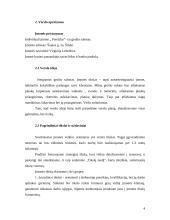 Verslo planas: grožio salonas IĮ "Prestižas" 4 puslapis