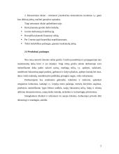 Verslo planas: grožio salonas IĮ "Prestižas" 5 puslapis