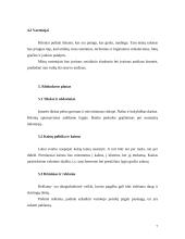 Verslo planas: grožio salonas IĮ "Prestižas" 7 puslapis