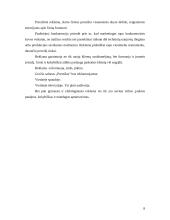 Verslo planas: grožio salonas IĮ "Prestižas" 8 puslapis