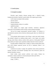 Verslo planas: grožio salonas IĮ "Prestižas" 9 puslapis