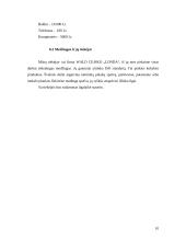 Verslo planas: grožio salonas IĮ "Prestižas" 10 puslapis