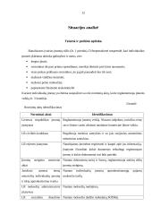 Verslo planas: individuali avalynės parduotuvė 12 puslapis