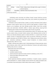 Verslo planas: individuali avalynės parduotuvė 13 puslapis