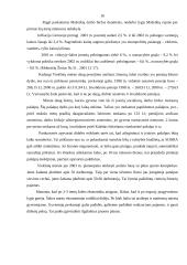 Verslo planas: individuali avalynės parduotuvė 16 puslapis