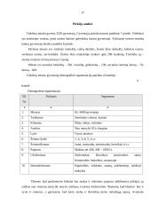 Verslo planas: individuali avalynės parduotuvė 17 puslapis