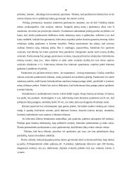 Verslo planas: individuali avalynės parduotuvė 18 puslapis