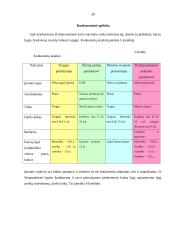 Verslo planas: individuali avalynės parduotuvė 20 puslapis