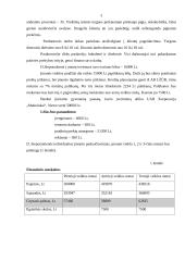 Verslo planas: individuali avalynės parduotuvė 3 puslapis