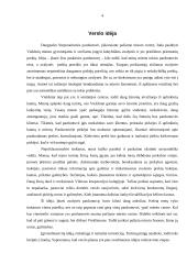 Verslo planas: individuali avalynės parduotuvė 4 puslapis