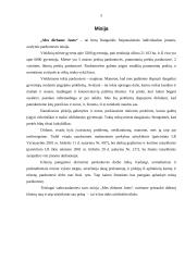 Verslo planas: individuali avalynės parduotuvė 5 puslapis