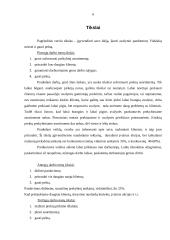 Verslo planas: individuali avalynės parduotuvė 6 puslapis