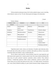 Verslo planas: individuali avalynės parduotuvė 8 puslapis