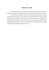 Verslo planas: individuali avalynės parduotuvė 10 puslapis