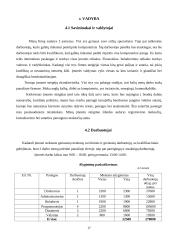 Verslo planas: internetinių puslapių kūrimas ir priežiūra UAB "Kompiuterinis langas" 16 puslapis