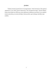 Verslo planas: internetinių puslapių kūrimas ir priežiūra UAB "Kompiuterinis langas" 2 puslapis