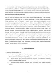 Verslo planas: internetinių puslapių kūrimas ir priežiūra UAB "Kompiuterinis langas" 6 puslapis