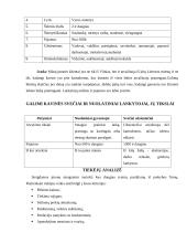 Verslo planas: kavinė UAB "Darkanas" 13 puslapis