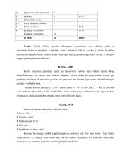 Verslo planas: kavinė UAB "Darkanas" 17 puslapis