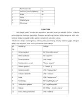 Verslo planas: kavinė UAB "Darkanas" 19 puslapis