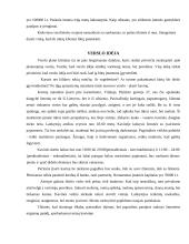 Verslo planas: kavinė UAB "Darkanas" 3 puslapis