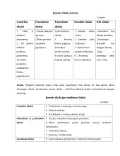 Verslo planas: kavinė UAB "Darkanas" 5 puslapis