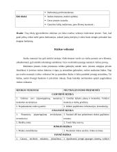 Verslo planas: kavinė UAB "Darkanas" 6 puslapis