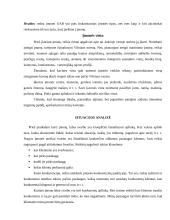 Verslo planas: kavinė UAB "Darkanas" 8 puslapis