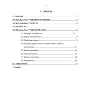 Verslo planas: keleivių vežimo paslaugos UAB "EuroWay" 2 puslapis