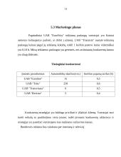 Verslo planas: keleivių vežimo paslaugos UAB "EuroWay" 11 puslapis